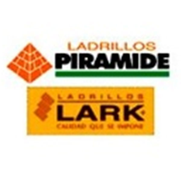 Ladrillo de techo: H20